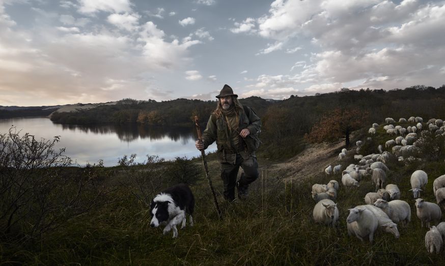 Schaapherders in Nederland