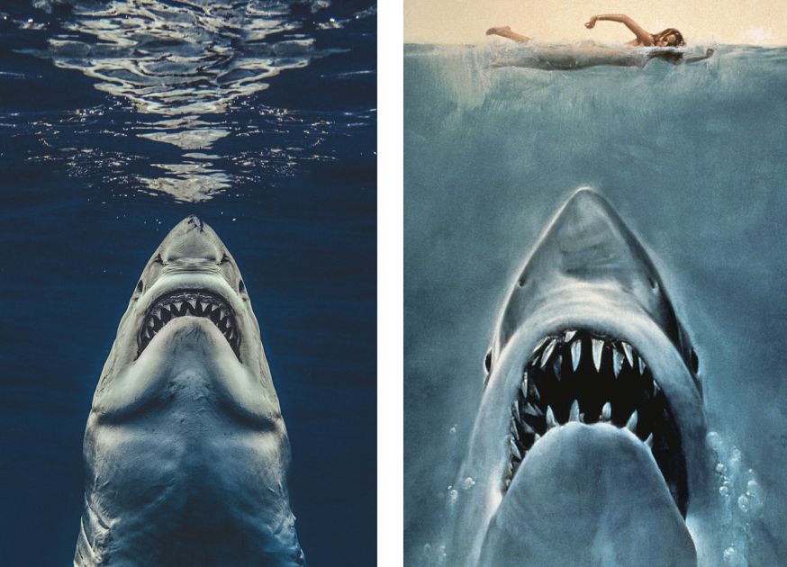 Fotograaf Jaws filmposter 