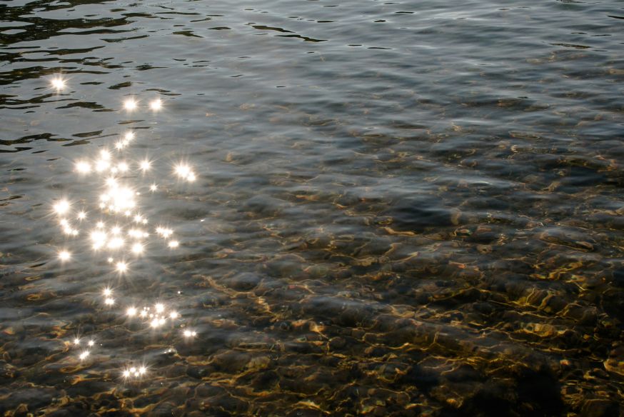 tegenlicht fotografie