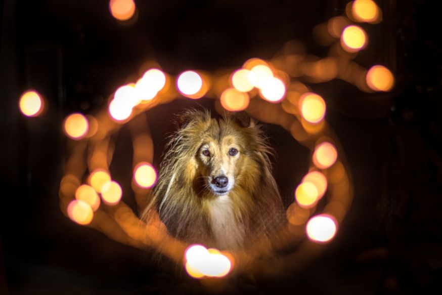 spotlight lezersfoto