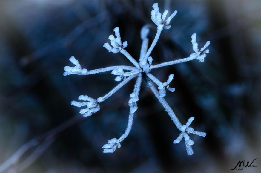 spotlight lezersfoto