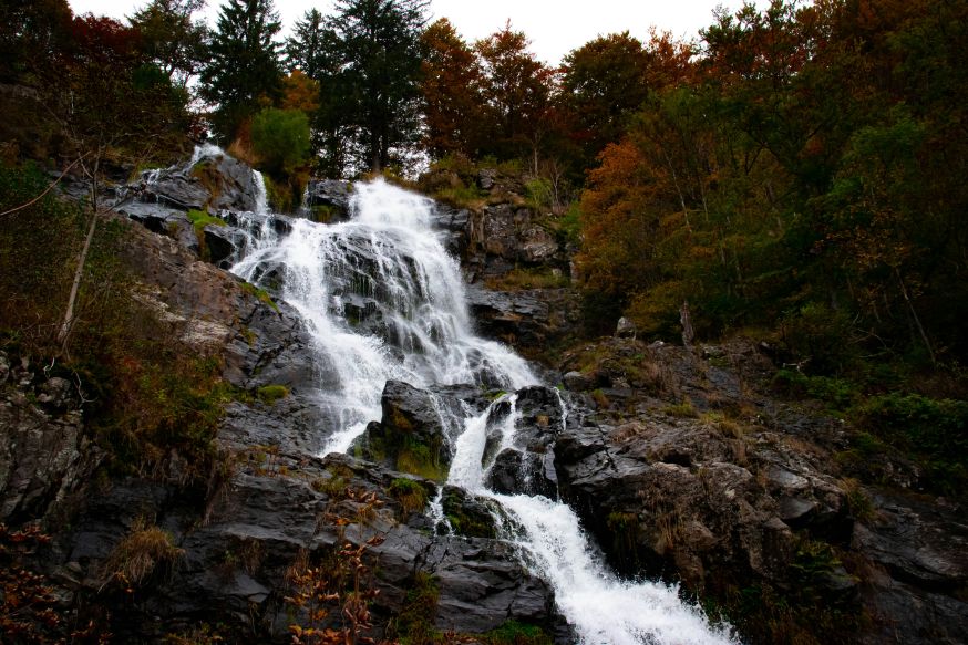 fotograferen in het Zwarte Woud