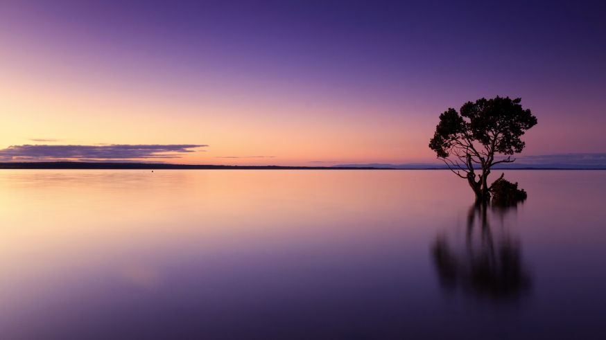 landschapsfotografie