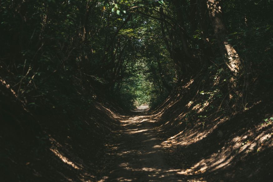 landschapsfotografie leren 
