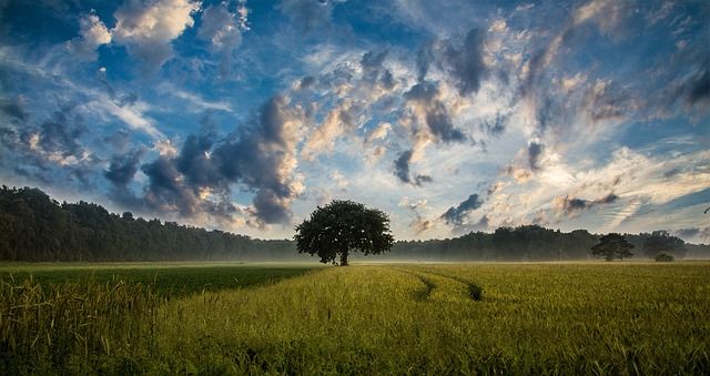 hyperfocale afstand, scherp, scherptediepte, landschapsfotografie, brandpuntsafstand, diafragma