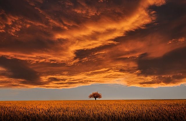 zonsondergang, gouden uren