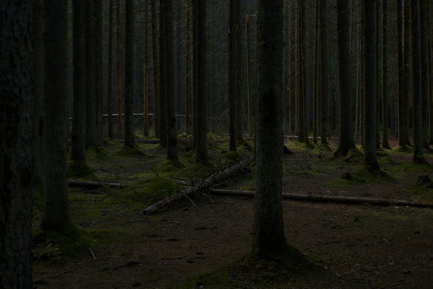 fotobewerking voor beginners