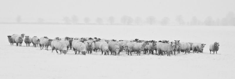 Landschapsfotografie