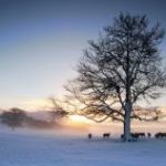 afbeelding van john.patrickbrouwer_91482