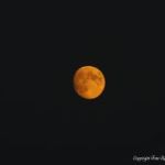 afbeelding van ronaldf_106478