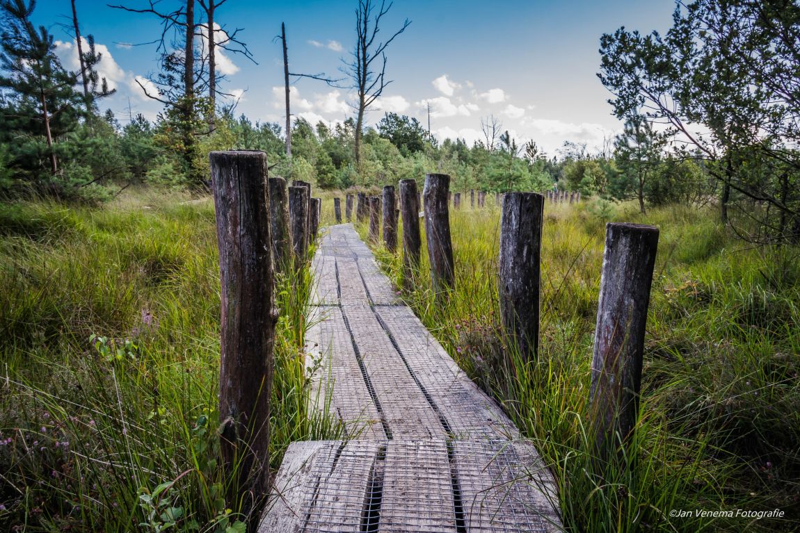 Learning is a journey that never ends picture