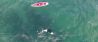 Kajakker en orka zwemmend vastgelegd met drone