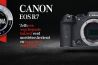 Canon EOS R7: gebruikersreview door Meint Brookman