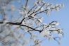 Review: ontdekkingstocht met Lensbaby Sol 45