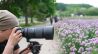 Nieuw: Tamron ultra-tele 150-500mm zoomobjectief voor Fujifilm X-vatting