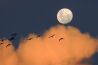 Een wereld van verschil: van dag naar nacht in Photoshop