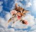Springende kittens vastgelegd in een fotoreportage 