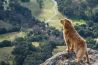 Top 5 compositieregels voor betere foto's