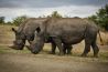 De mooiste natuurfoto’s maak je in Zuid-Afrika!