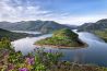 Videotutorial: Landschapsfoto’s met zomerse bloemen