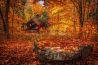 De juiste nabewerking bij herfstfotografie