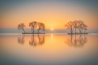 Preview Ivo Mostert – Minimalistische fotografie leren