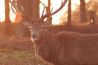 Veiligheid bij natuurfotografie