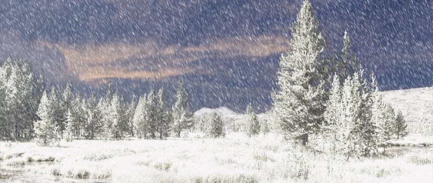 landschap, winter, sneeuw, toren, pad, koude, sneeuwlandschap, vorst |  Pikist